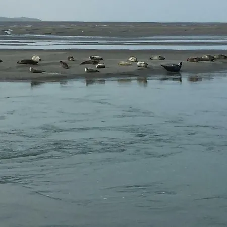 아파트 Cocooning 50 M De La *