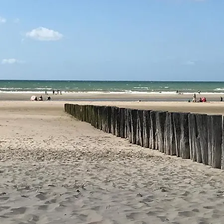 Cocooning 50 M De La Appartement