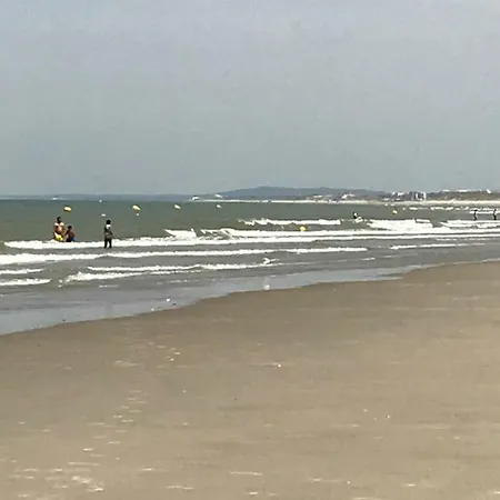 Cocooning 50 M De La * Berck