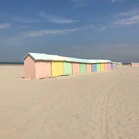 Appartement Cocooning 50 M De La Berck